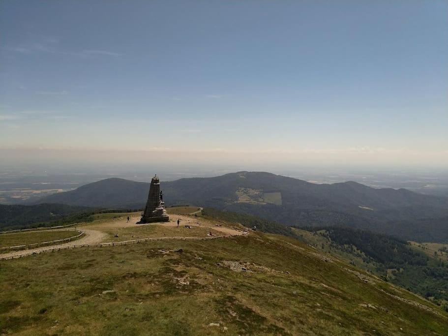 Gite Le Bambou Jama Aspach-le-Haut Экстерьер фото