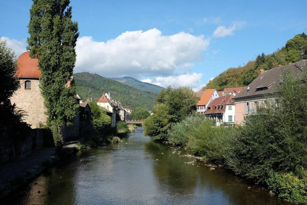 Gite Le Bambou Jama Aspach-le-Haut Экстерьер фото