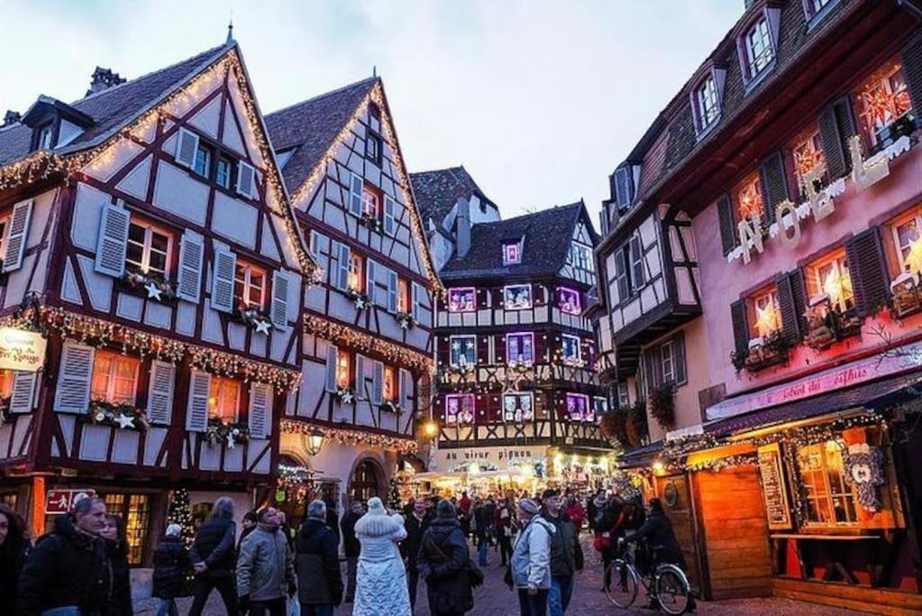 Gite Le Bambou Jama Aspach-le-Haut Экстерьер фото